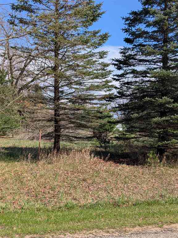 Vacant Land For Sale - 1005 Kent Street <br/> Lake Isabella, MI 48893