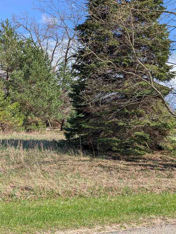 Vacant Land For Sale - 1007 Kent Street <br/> Lake Isabella, MI 48893