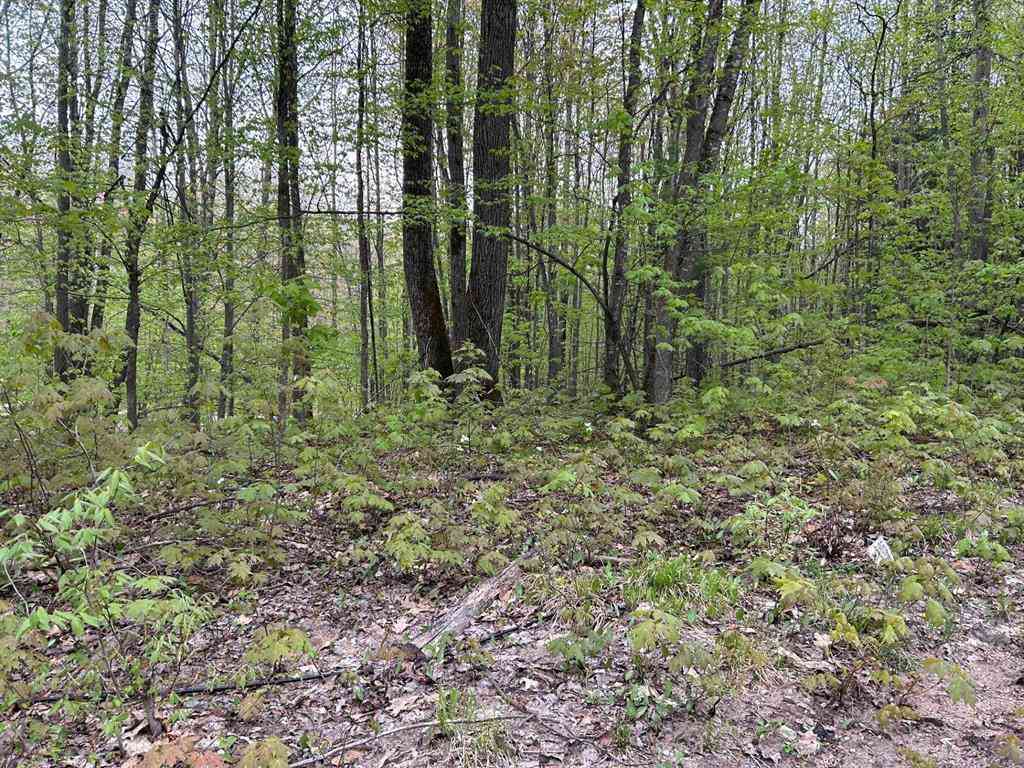 Vacant Land For Sale - Lost Lake Road <br/> Beulah, MI 49617
