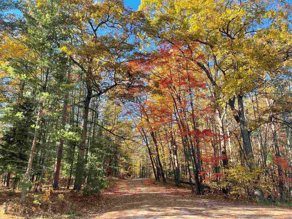 Vacant Land For Sale - 3037 Dockery Road, Nw  <br/> Williamsburg, MI 49690