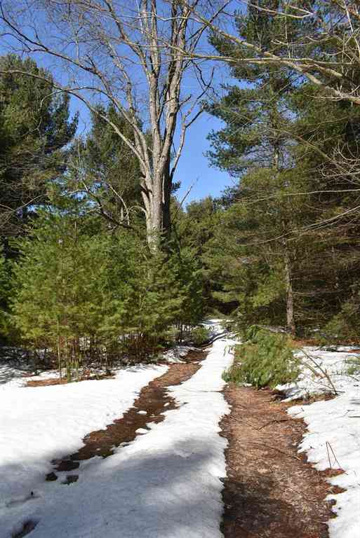Vacant Land For Sale - Roop Road <br/> Kingsley, MI 49649