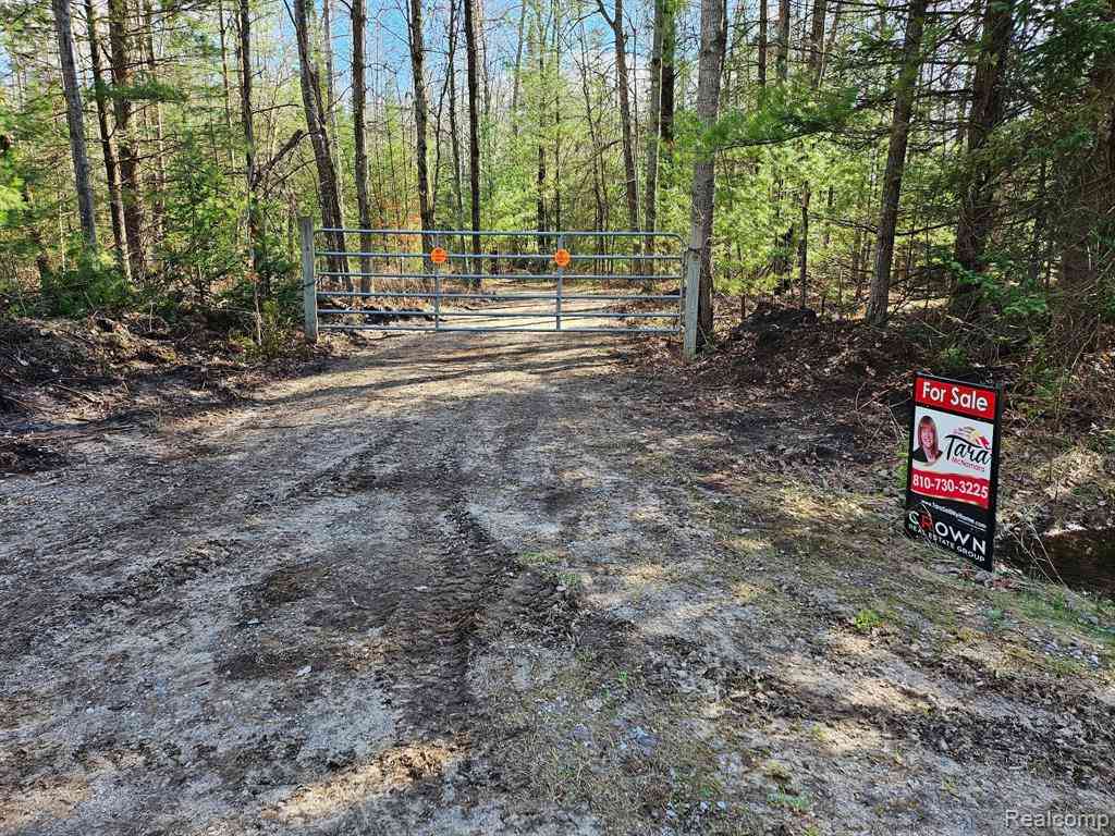 Vacant Land For Sale - Greenwood (hwy F18) Road <br/> Prescott, MI 48756