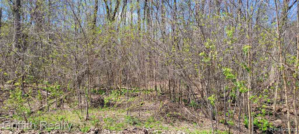 Vacant Land For Sale - 00 VL Pady  <br/> Brighton, MI 48114