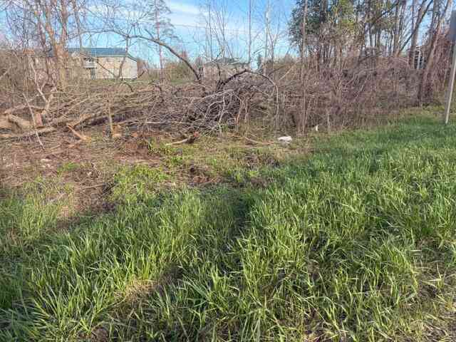 Vacant Land For Sale - S Mason Drive <br/> Grant, MI 49327