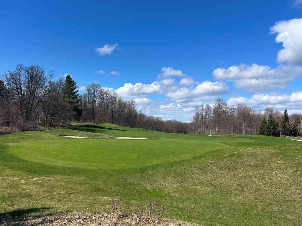 Vacant Land For Sale - LOT 2 Fox Trail <br/> Bellaire, MI 49615