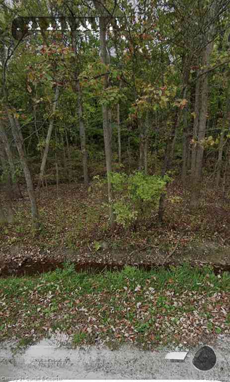 Vacant Land For Sale - 24661 28 Mile Road <br/> Ray, MI 48096