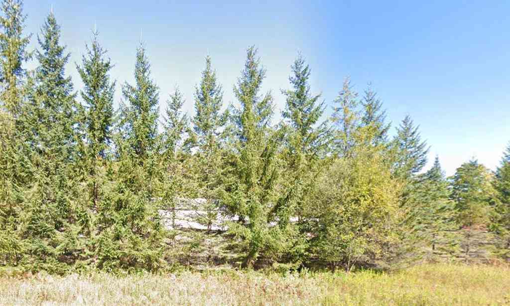 Vacant Land For Sale - 2565 S Larks Lake Road <br/> Emmet County, Harbor Springs, MI 49740