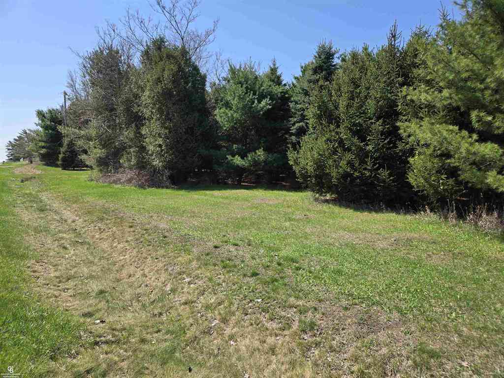 Vacant Land For Sale - 5834 Brockway Road <br/> Sanilac County, Peck, MI 48466