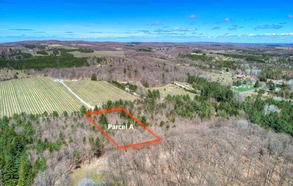Vacant Land For Sale - PARCEL A E Bodus Road <br/> Cedar, MI 49621