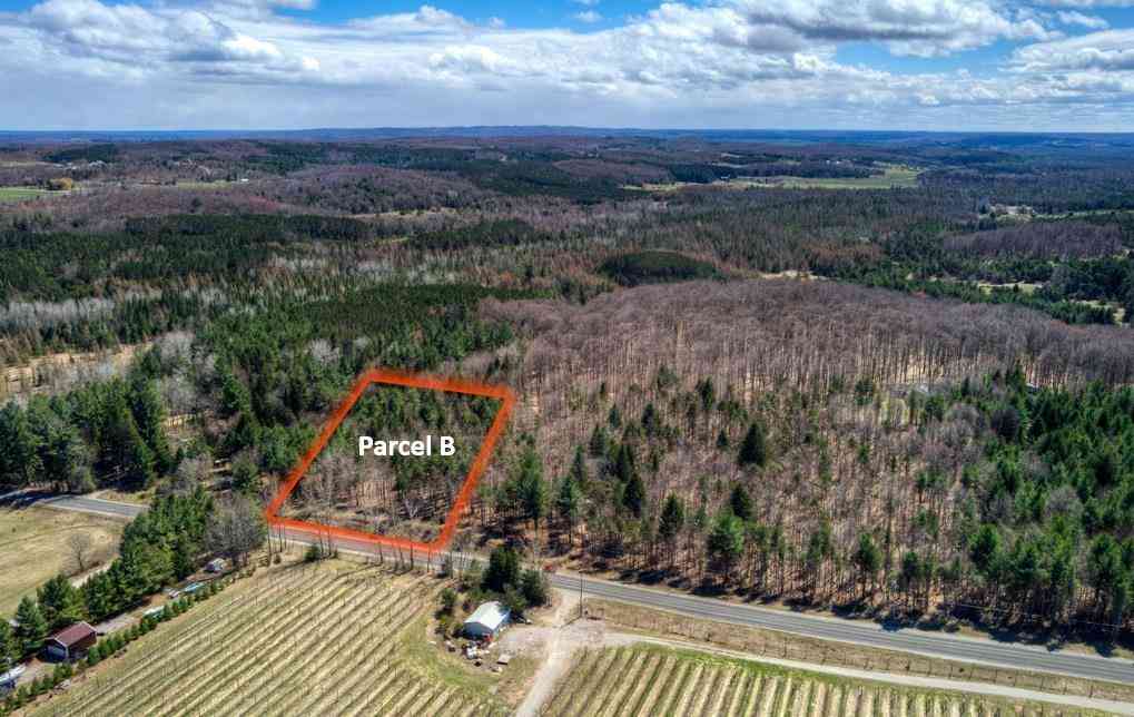 Vacant Land For Sale - PARCEL B E Bodus Road <br/> Cedar, MI 49621
