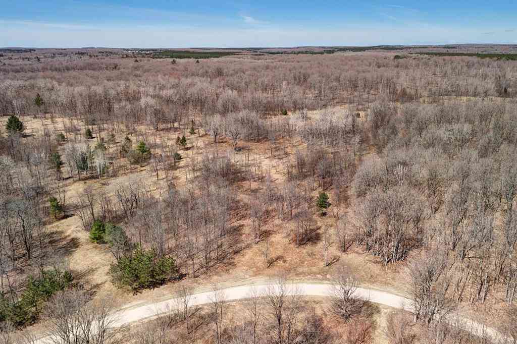 Vacant Land For Sale - 171 NE Kleehammer Club Drive <br/> Kalkaska, MI 49646