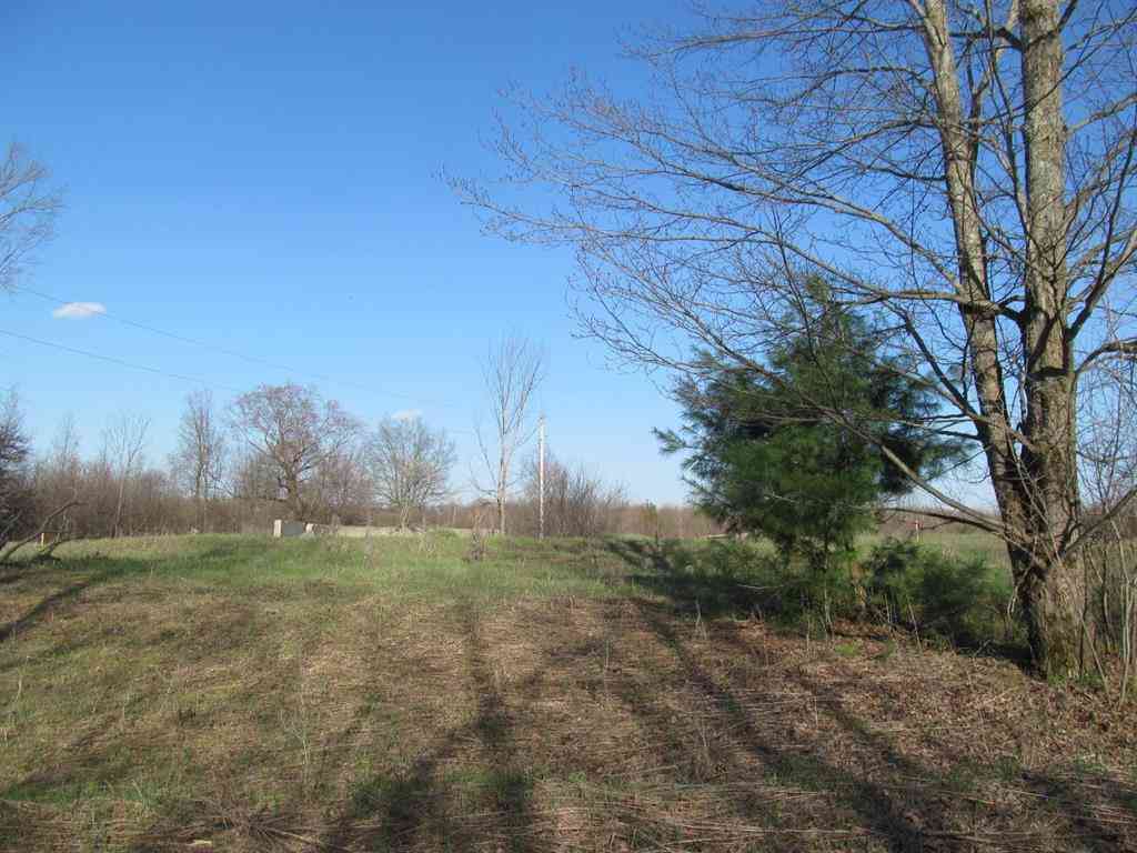 Vacant Land For Sale - 0 90th Avenue <br/> Evart, MI 49631