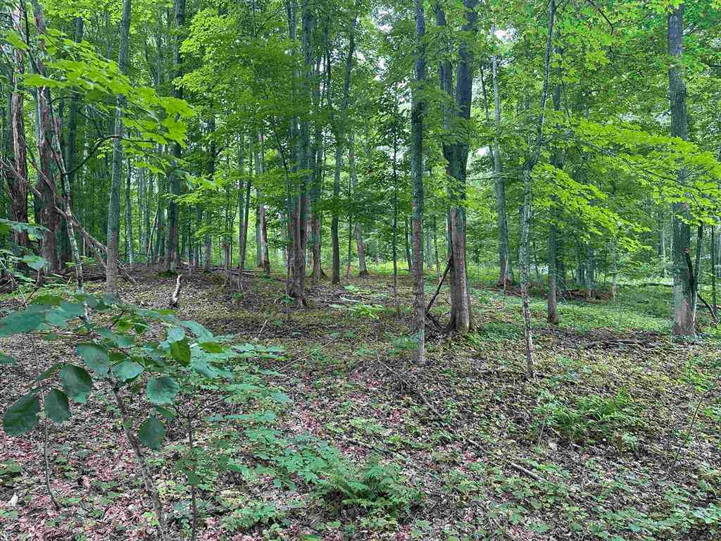 Vacant Land For Sale - 11599 S Tower  <br/> Maple City, MI 49664