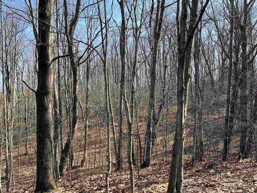 Vacant Land For Sale - Deerfield Trail <br/> Boyne Falls, MI 49713