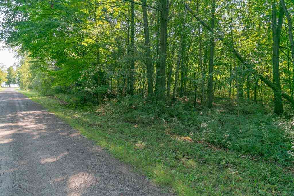 Vacant Land For Sale - 00 Schott Road <br/> Huron County, Harbor Beach, MI 48441