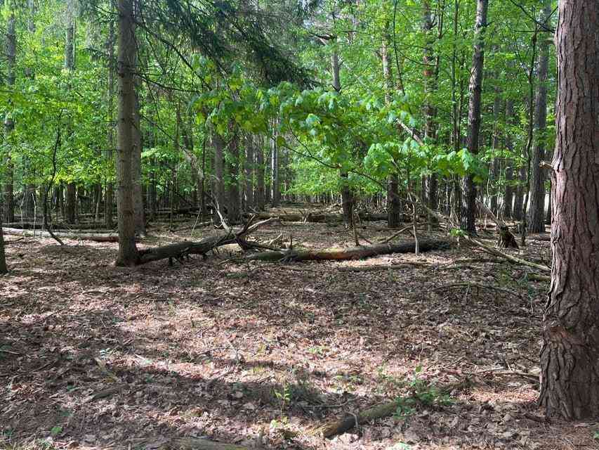 Vacant Land For Sale - 00 Mortimer Line Road <br/> Croswell, MI 48422
