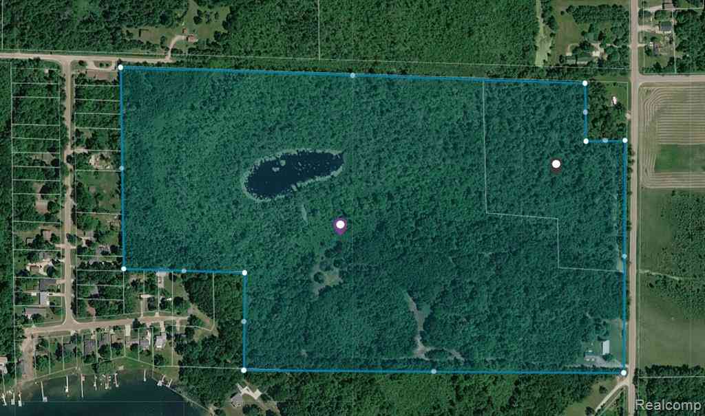 Vacant Land For Sale - 2889 Mill Station Road E E<br/> Hale, MI 48739