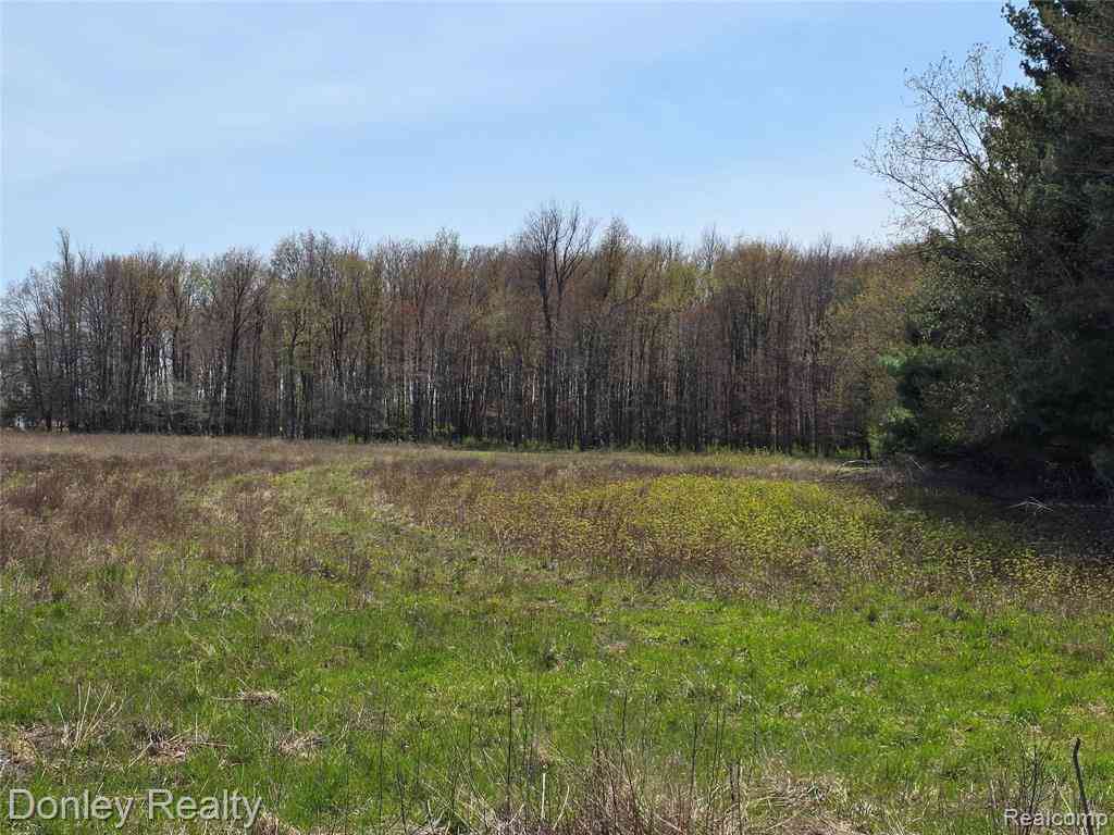 Vacant Land For Sale - V/L Hyde Road <br/> Carsonville, MI 48419