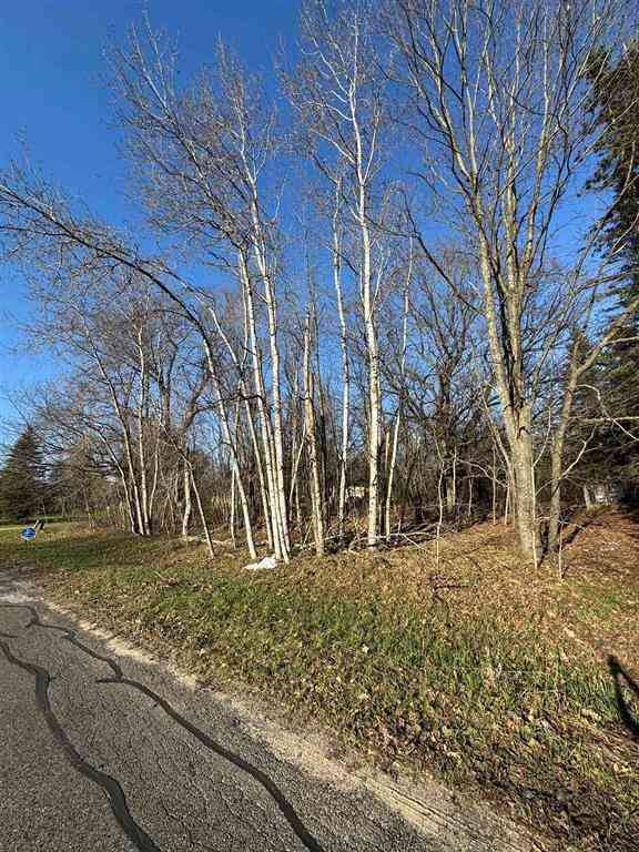 Vacant Land For Sale - 3603 Cecil Road <br/> Cadillac, MI 49601