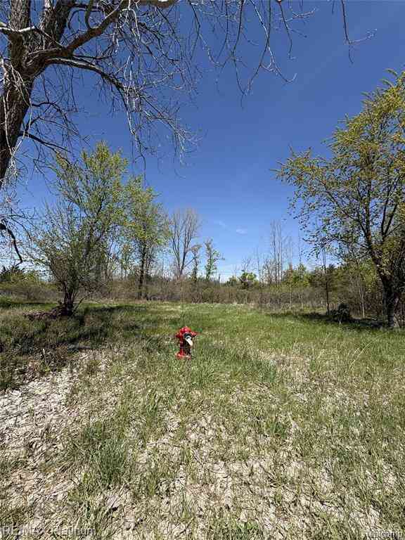 Vacant Land For Sale - PARCEL 6 Fisher Road  <br/> Howell, MI 48855