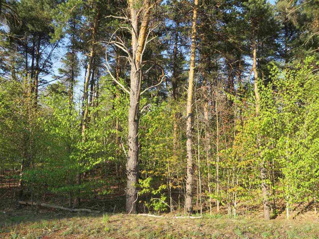 Vacant Land For Sale - **** Poneytail Trail <br/> Petoskey, MI 49770