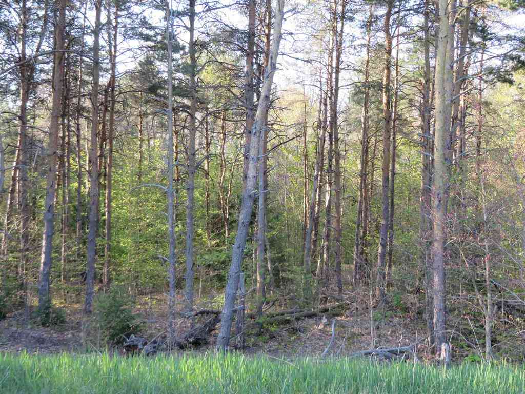 Vacant Land For Sale - **** Poneytail Trail <br/> Petoskey, MI 49770