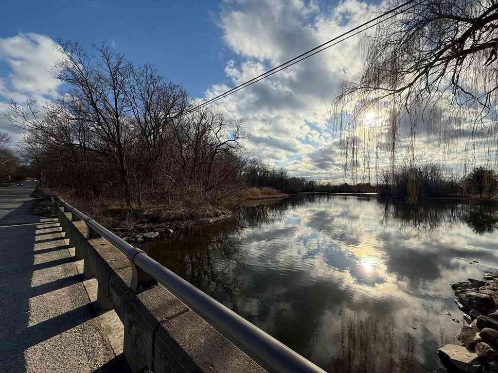 Vacant Land For Sale - Ripley Road <br/> Linden, MI 48451
