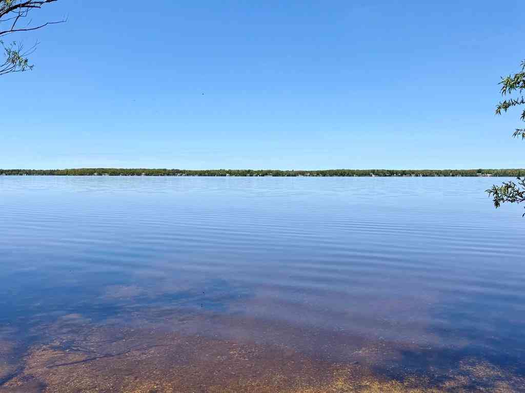 Vacant Land For Sale - V/L Paradise Lane <br/> Emmet County, Levering, MI 49755