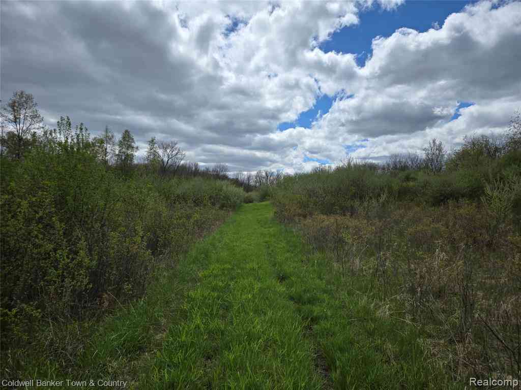 Vacant Land For Sale - 00000 E Northfield Church Road <br/> Whitmore Lake, MI 48189