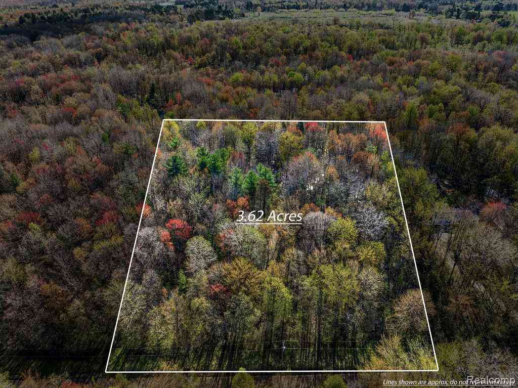 Vacant Land For Sale - 6799 Maplegrove Road <br/> Vassar, MI 48768