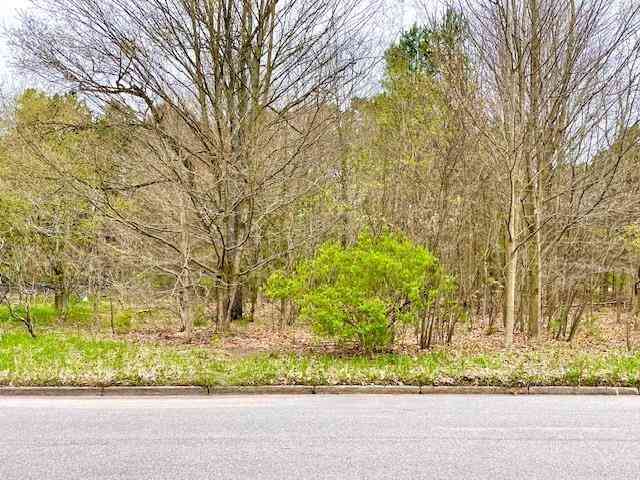 Vacant Land For Sale - 00 Brook Avenue <br/> Kaleva, MI 49645