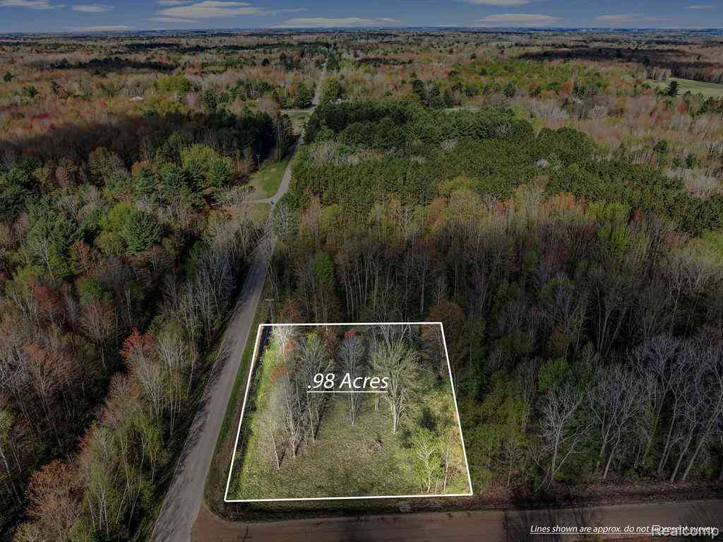 Vacant Land For Sale - #0014 V/L Brown Road <br/> Vassar, MI 48768