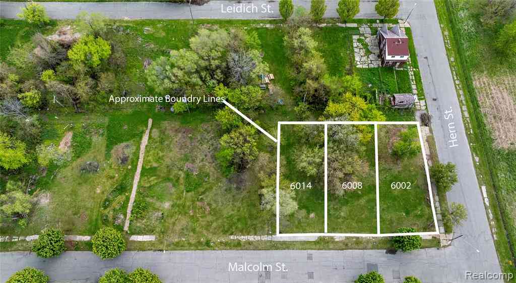 Vacant Land For Sale - 6002 Malcolm Street <br/> Detroit, MI 48213