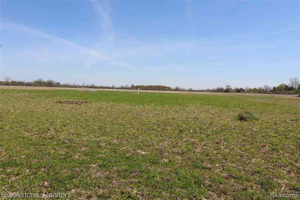 Vacant Land For Sale - VACANT LOT D Stoddard Road  <br/> Columbus, MI 48063