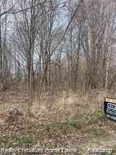 Vacant Land For Sale - 3183 Blackheath Court <br/> Port Huron, MI 48060