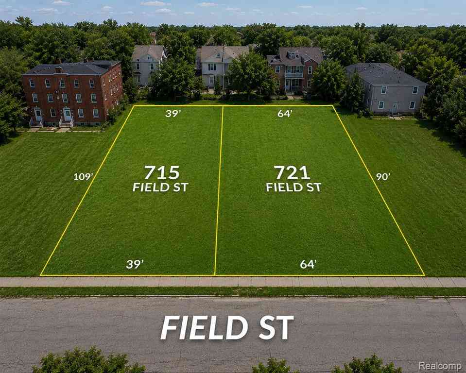 Vacant Land For Sale - 715 Field Street <br/> Detroit, MI 48214