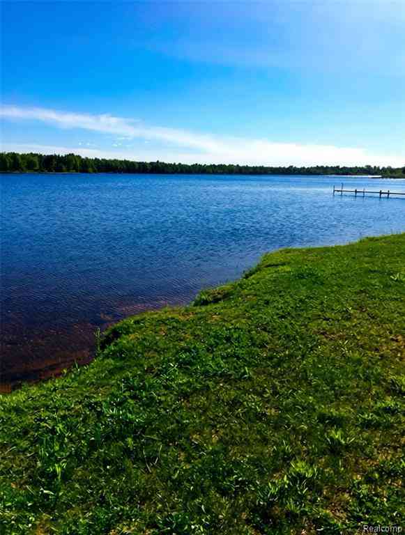 Vacant Land For Sale - 32993 W Birch Shores Drive <br/> Chippewa County, Trout Lake, MI 49793