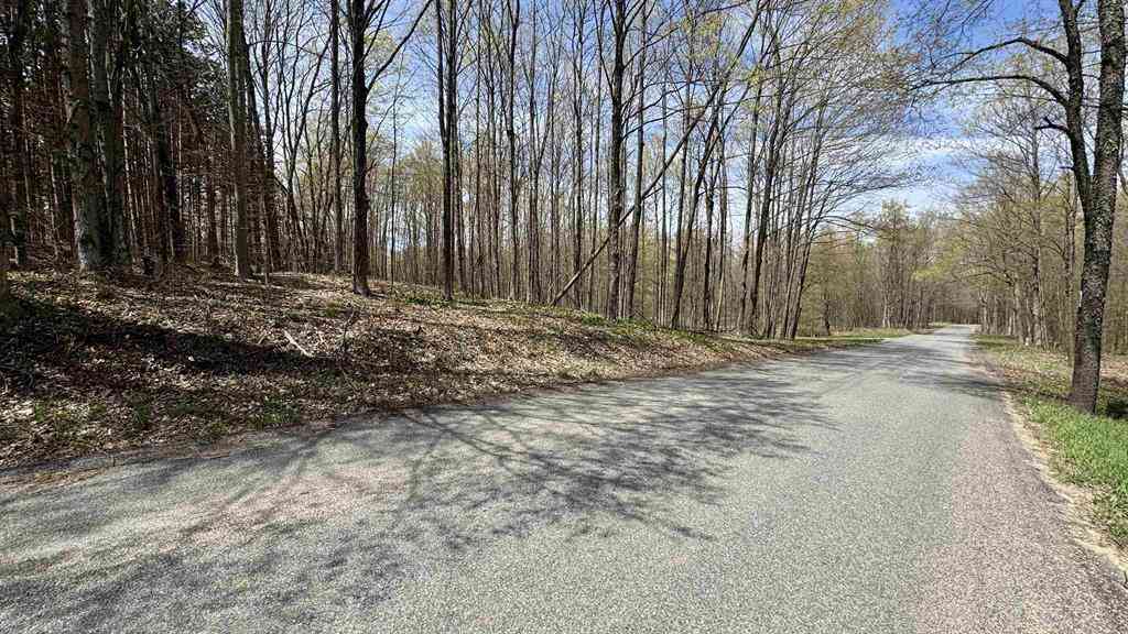 Vacant Land For Sale - PARCEL A DAYHUF 27 Mile Road <br/> Boon, MI 49618