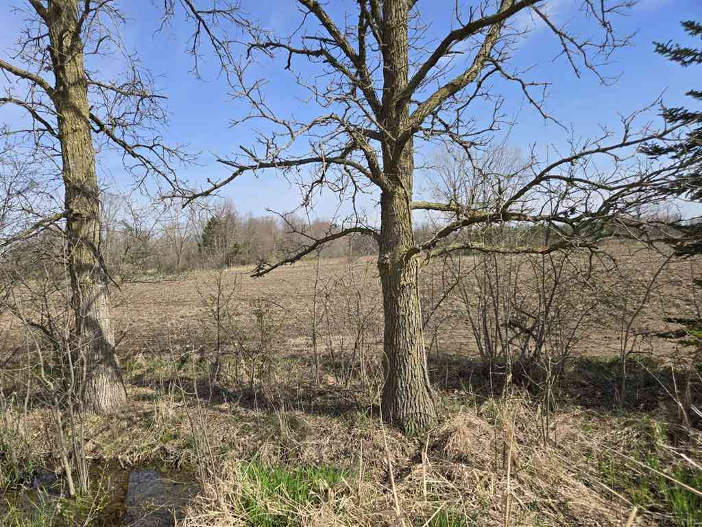 Vacant Land For Sale - Weber (lot C) Road <br/> Richmond, MI 48063