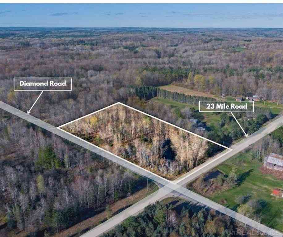 Vacant Land For Sale - TBD 23 Mile Road <br/> Osceola County, Tustin, MI 49688