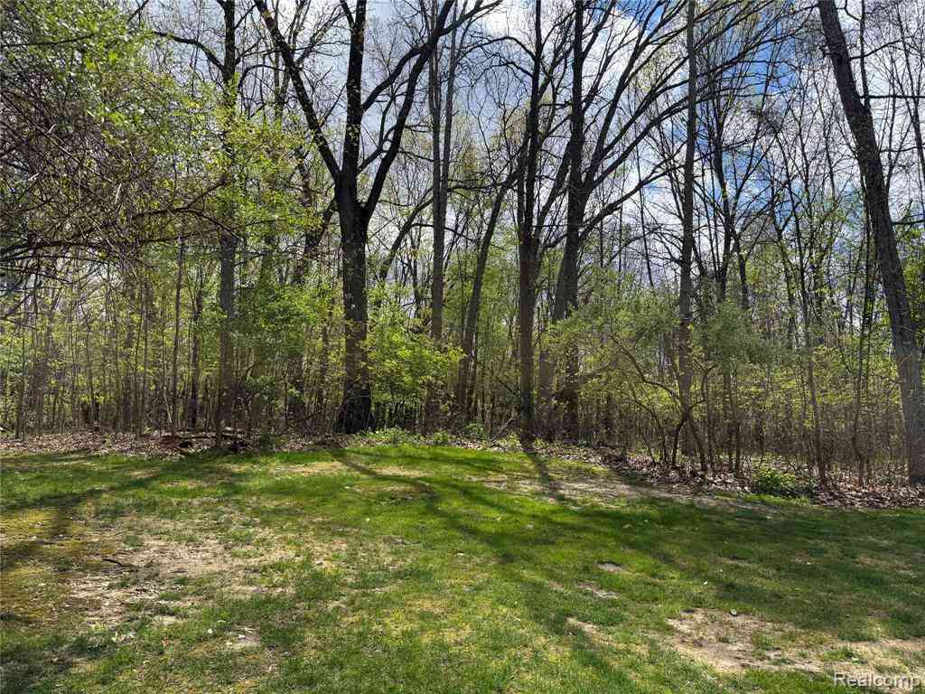 Vacant Land For Sale - LOT 25 Hidden Ridge Trail <br/> Fenton, MI 48430