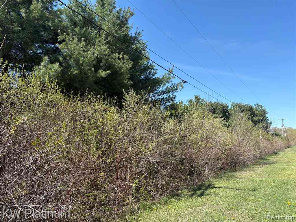 Vacant Land For Sale - North Road  <br/> Burtchville, MI 48059