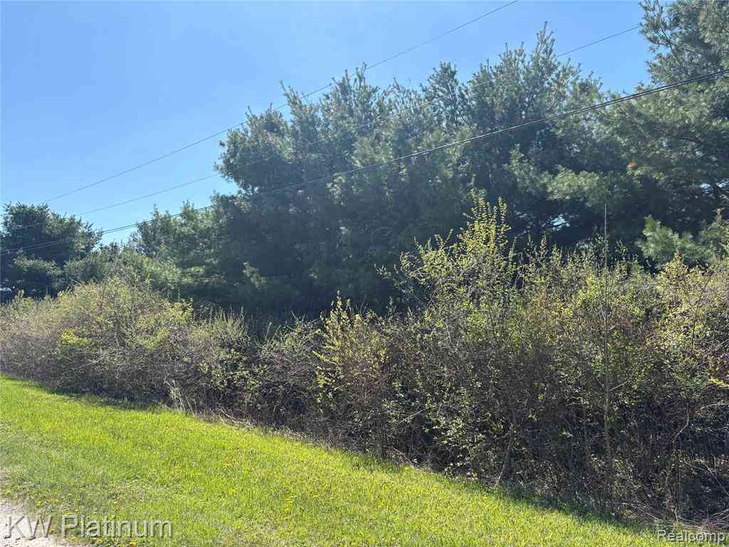 Vacant Land For Sale - PARCEL B Wicha Drive <br/> Burtchville, MI 48059