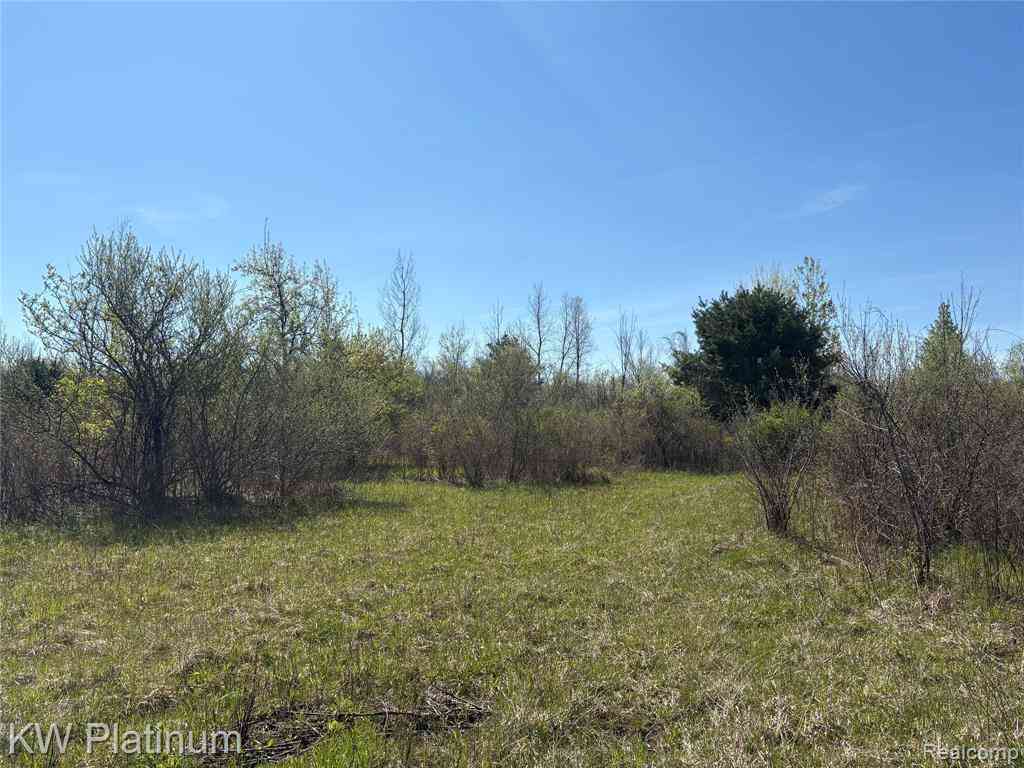 Vacant Land For Sale - PARCEL C Wicha Drive <br/> Burtchville, MI 48059