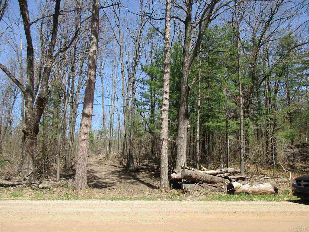 Vacant Land For Sale - 007-019-300-12 Clarence Rd Road <br/> Harrison, MI 48625