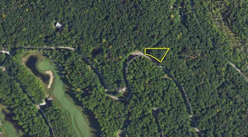 Vacant Land For Sale - LOT 218 Hawks Eye Drive <br/> Bellaire, MI 49615