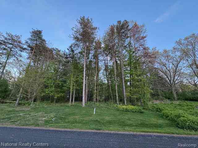 Vacant Land For Sale - 11315 Oakwood Drive <br/> Jerome, MI 49249