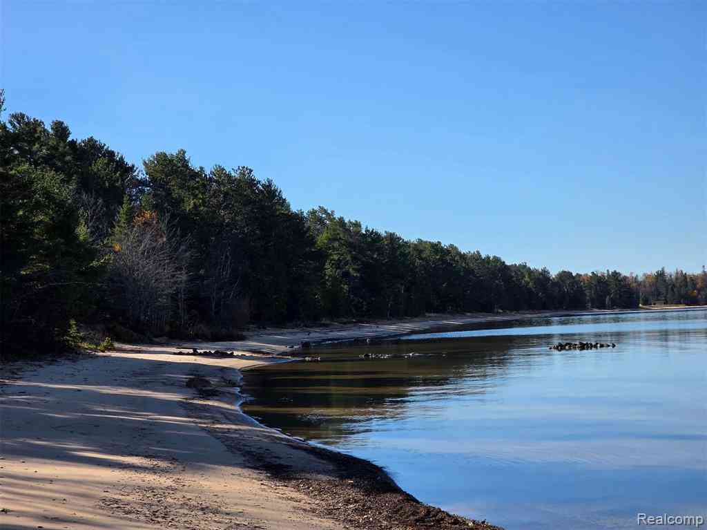 Vacant Land For Sale - 4680 S Pineshore Row <br/> Brimley, MI 49783