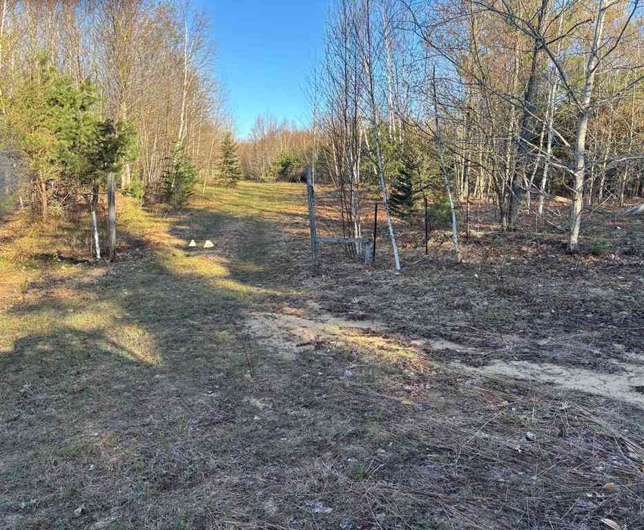Vacant Land For Sale - 00 Forward  <br/> Lake City, MI 49651