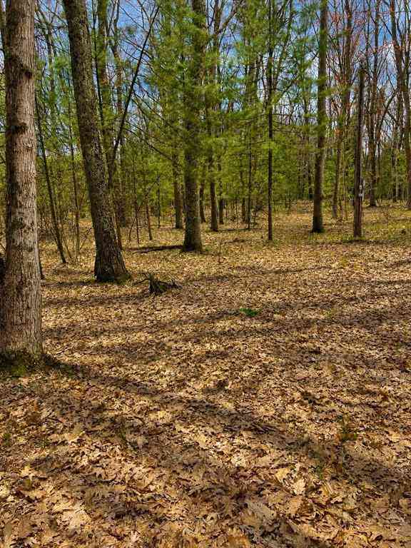 Vacant Land For Sale - 5302 Karlin Road <br/> Interlochen, MI 49643